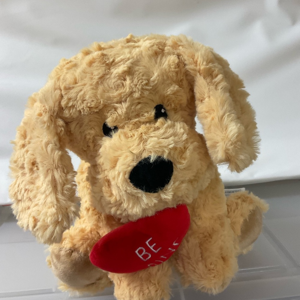 WARMIES Golden Retriever Dog Be Mine Valentine’s Day Stuffed Plush Microwave